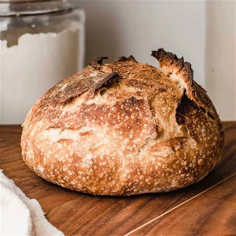 Culture for Health Organic Sourdough Starter Kit - Live Active Probiotic for Homemade Bread Baking | Perfect for Artisan Loaves, Pizza Dough & Pastries