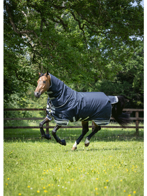 Arika Storm Tek Rug 200g Waterproof Turnout Blanket for Horses - Ideal for Cold Weather Riding and Stable Use