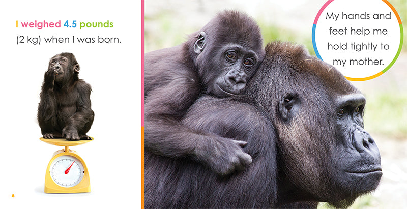 Baby Gorillas Book - ISBN 978-1-64026-248-5 | Wildlife Education for Kids, Perfect for Classroom & Homeschool Learning