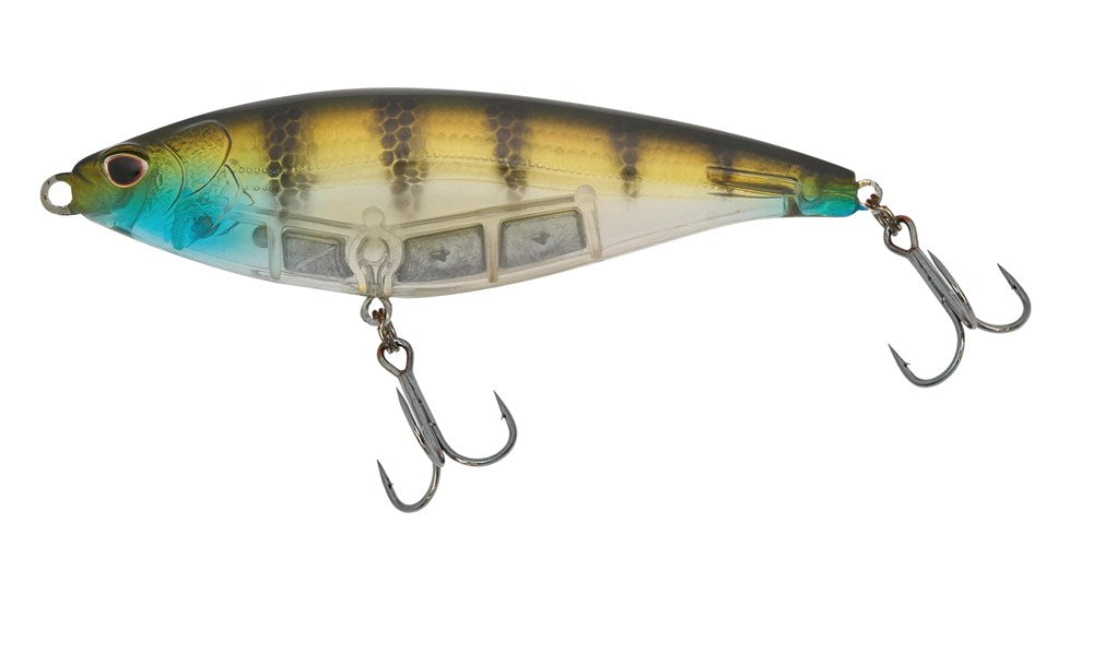 Blue Gill Ayu