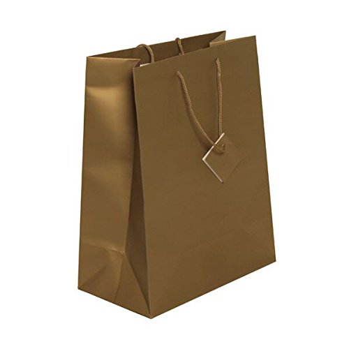 Premium JAM PAPER Gold Matte Gift Bags with Rope Handles - 10