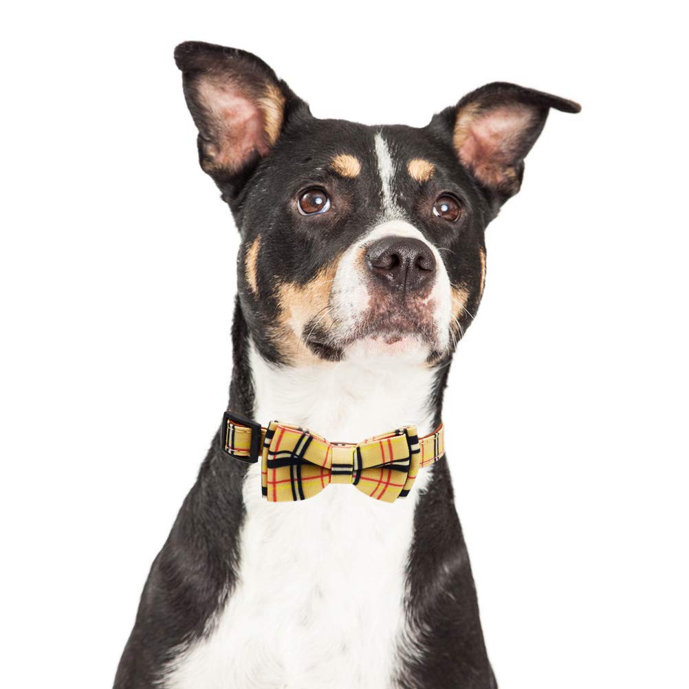Classic Plaid Adjustable Dog Collar and Leash Set with Removable Bow Tie for Small, Medium & Large Dogs - Perfect for Pet Weddings, Parties & Daily Walks