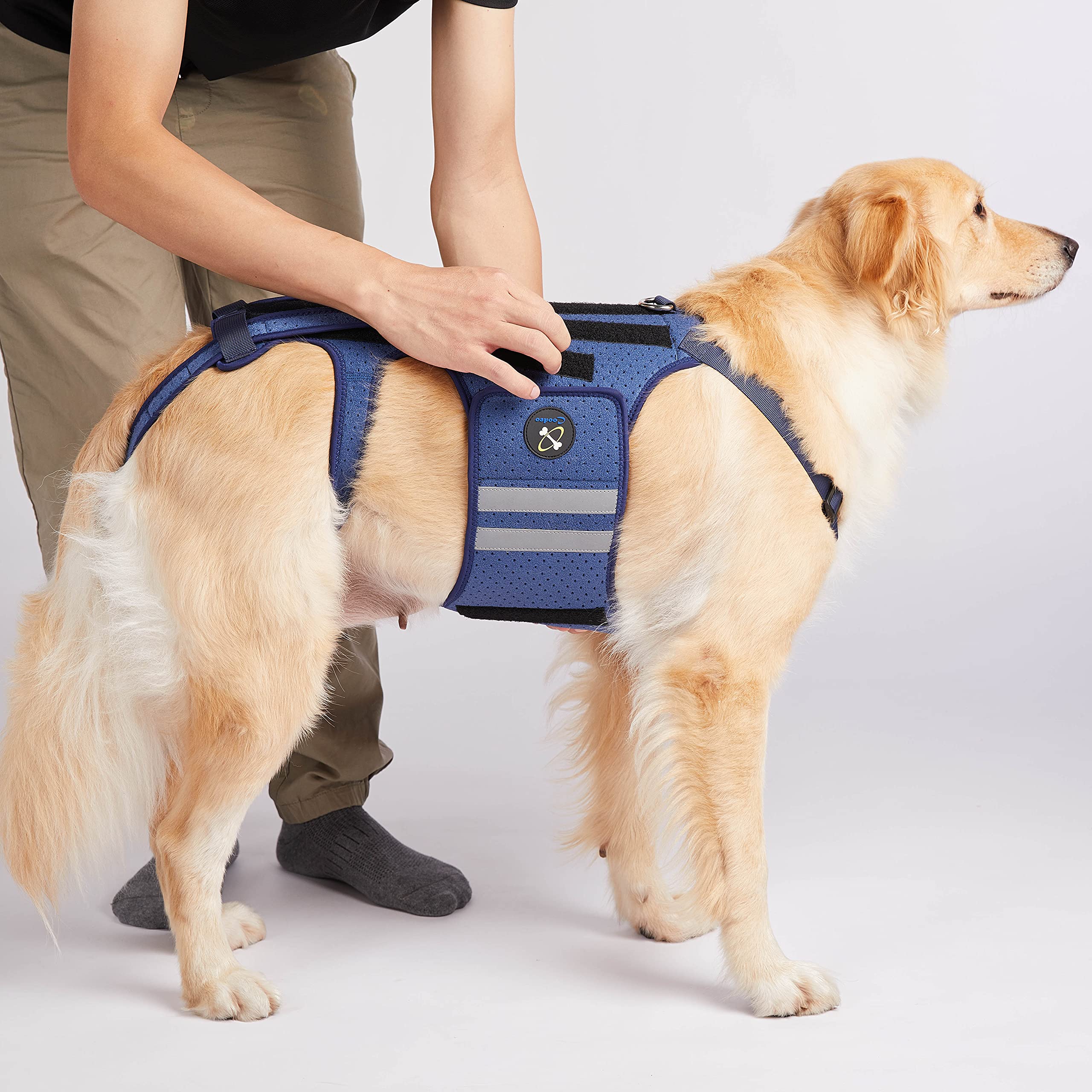 COODEO Dog Back Brace for Arthritis & IVDD - Adjustable Pet Back Support for Pain Relief, Surgical Recovery & Rehabilitation - Medium Size for Dogs - Perfect for Post-Surgery Care & Mobility Support