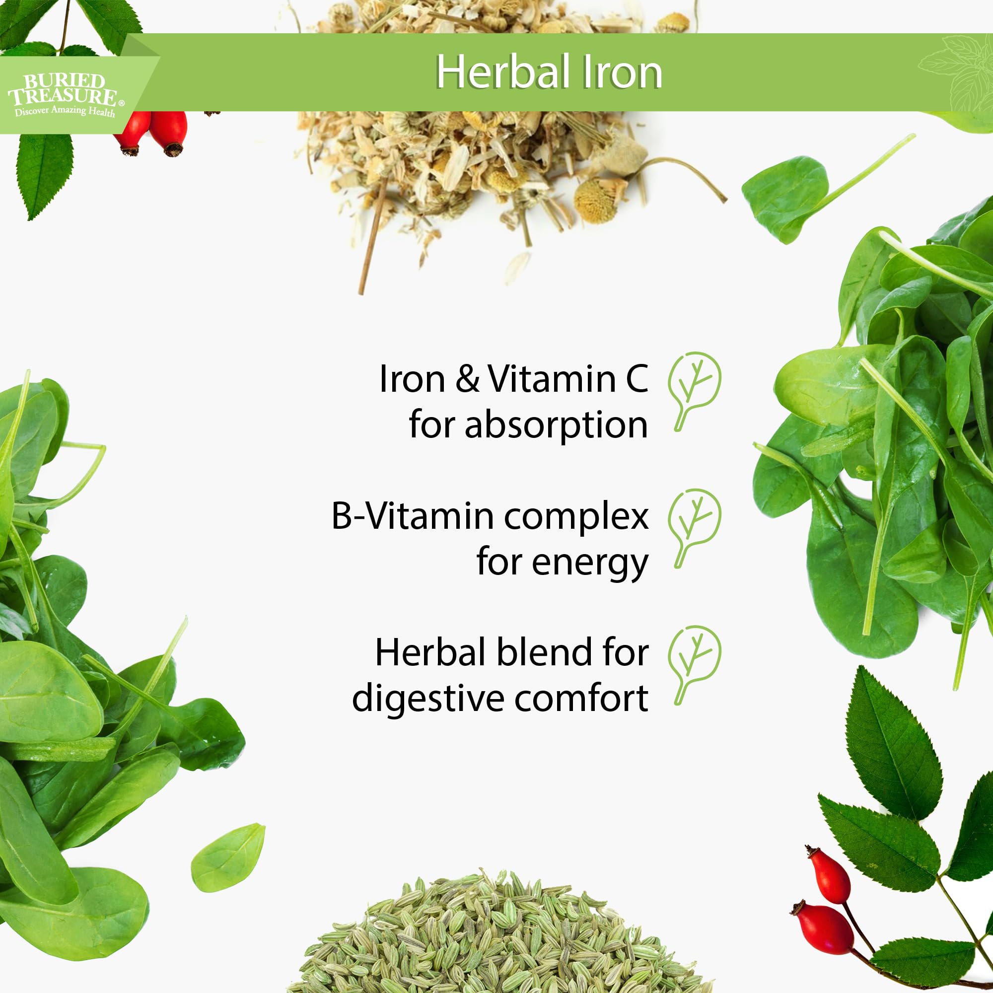 Buried Treasure Herbal Iron - 48 Servings | Liquid Iron Supplement with Vitamin C & B Complex | Vegan Iron for Men & Women | Supports Energy & Immunity | Great for Active Lifestyles & Vegetarian Diets