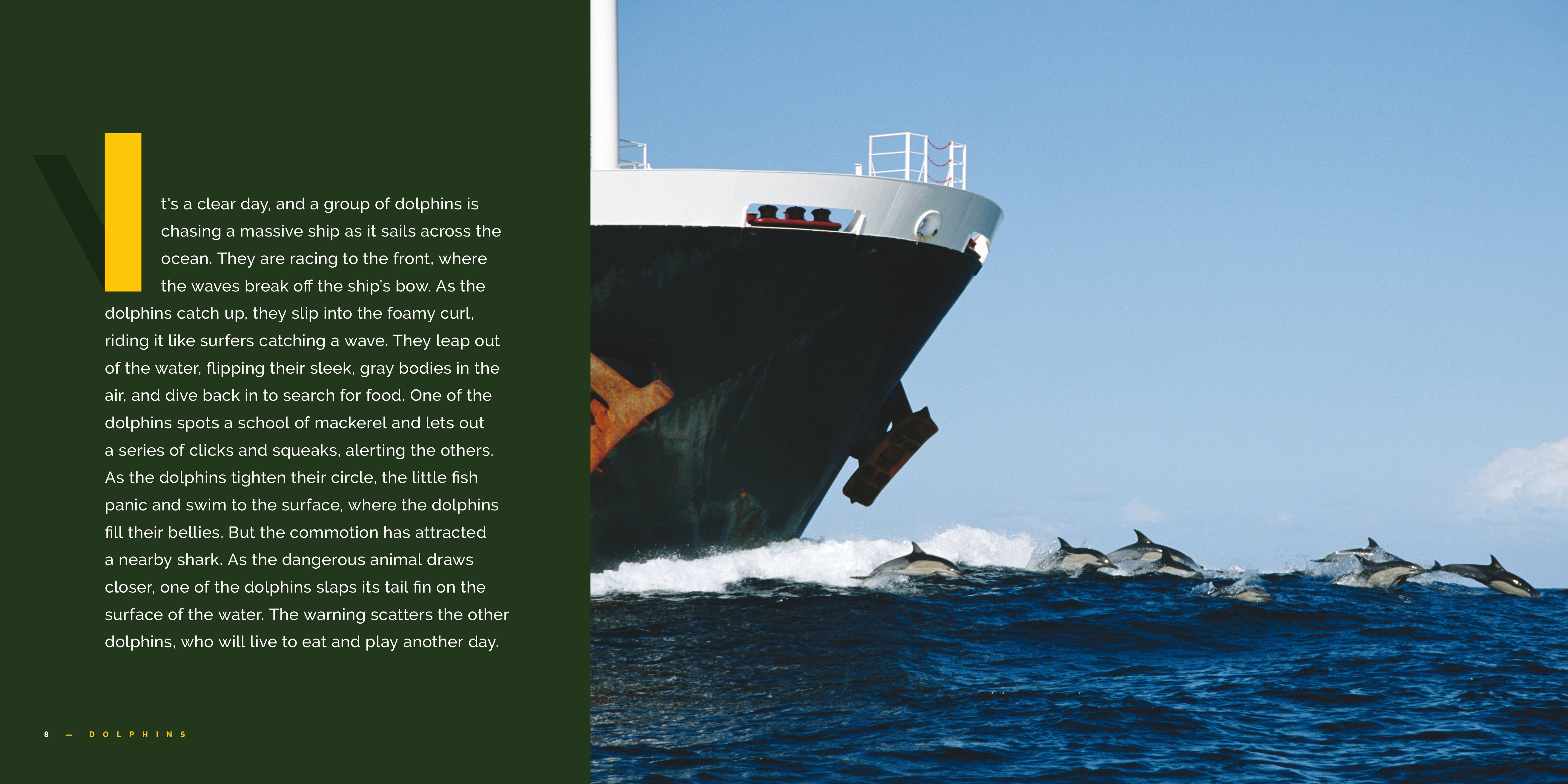 Dolphins Book 9781640265233 - Marine Life Guide for Kids & Adults, Perfect for School Projects & Ocean Enthusiasts