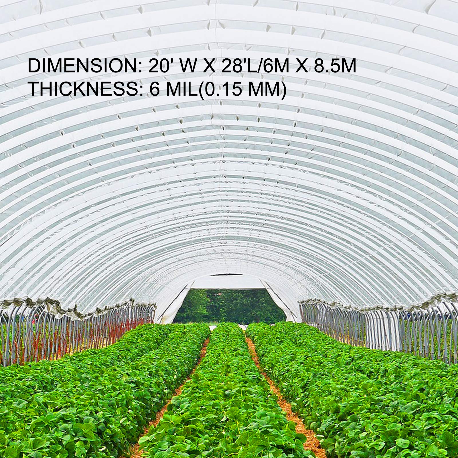 Happybuy 20 x 28 ft Greenhouse Plastic Film - 6 Mil Thickness UV Resistant Polyethylene Cover for Plant Protection & Temperature Control - Ideal for Backyard Gardens, Plant Nurseries, and DIY Greenhouses
