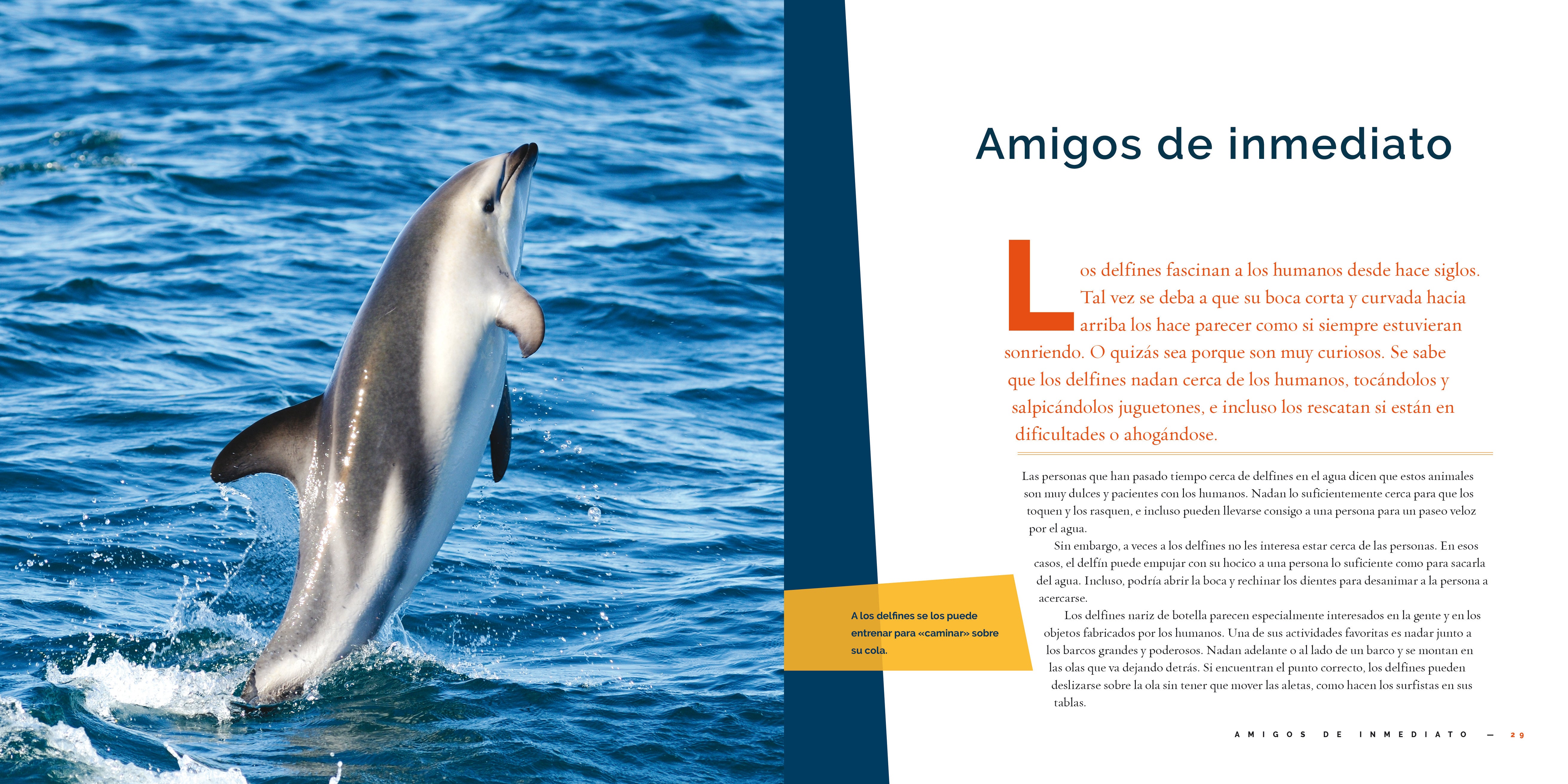 El Delfín 9781640267381 - Bilingual Children's Book in English and Spanish - Perfect for Storytime, Classroom Learning & Bilingual Education