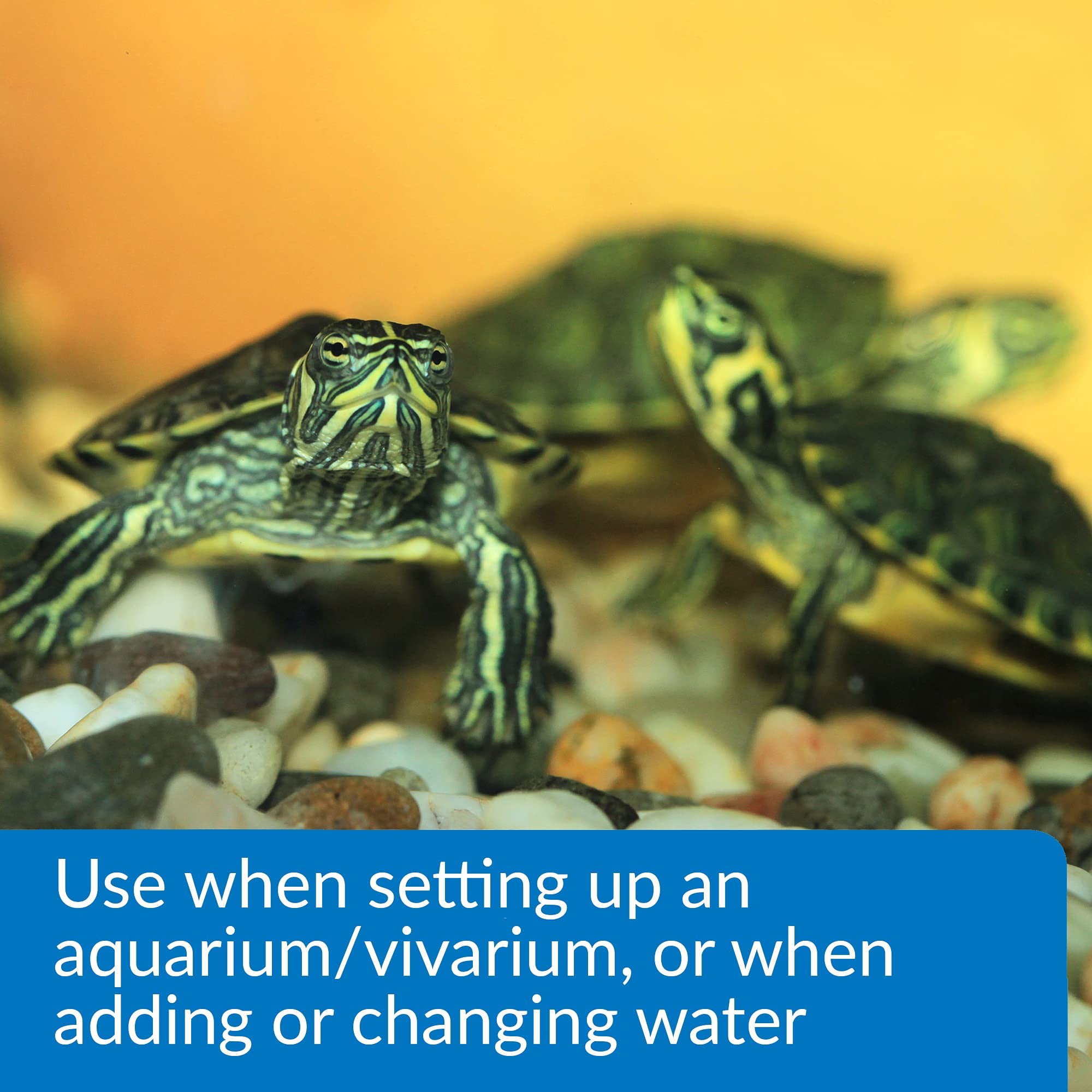API TURTLE WATER CONDITIONER - 4 oz Bottle for Reptile & Turtle Tanks | Removes Chlorine & Heavy Metals | Safe for Aquatic Pets | Perfect for Water Changes & Tank Maintenance