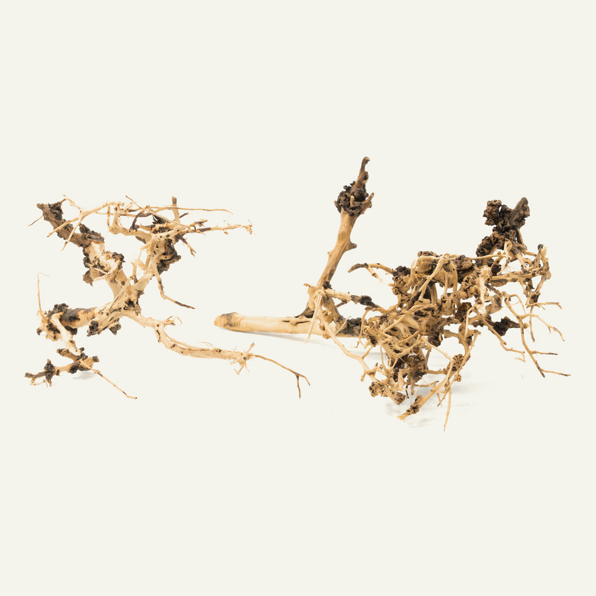 Natural Tree Branch Driftwood for Aquarium Decor - Unique Wood Pieces for Fish Tank, Reptile Habitat & Terrarium Scenery | Perfect for Home & Office Decoration