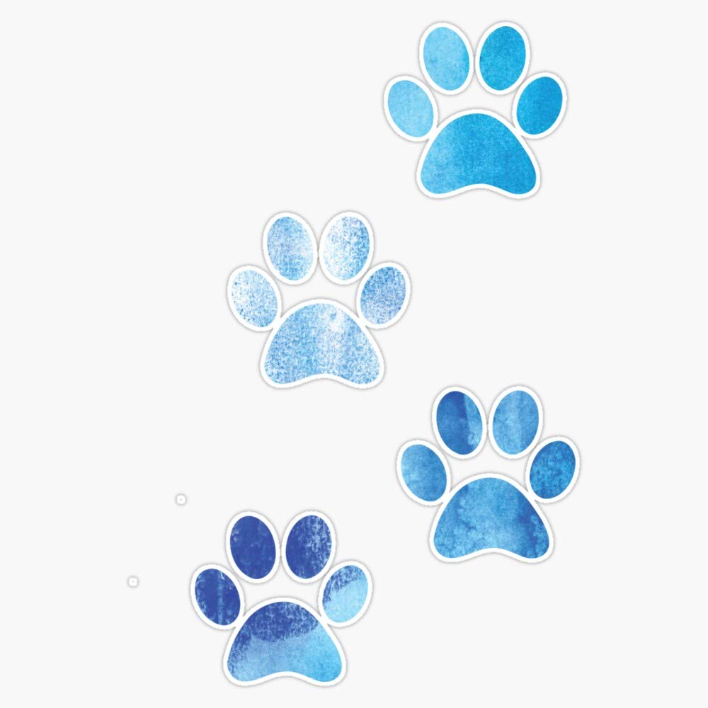 Waterproof Vinyl Stickers - 5