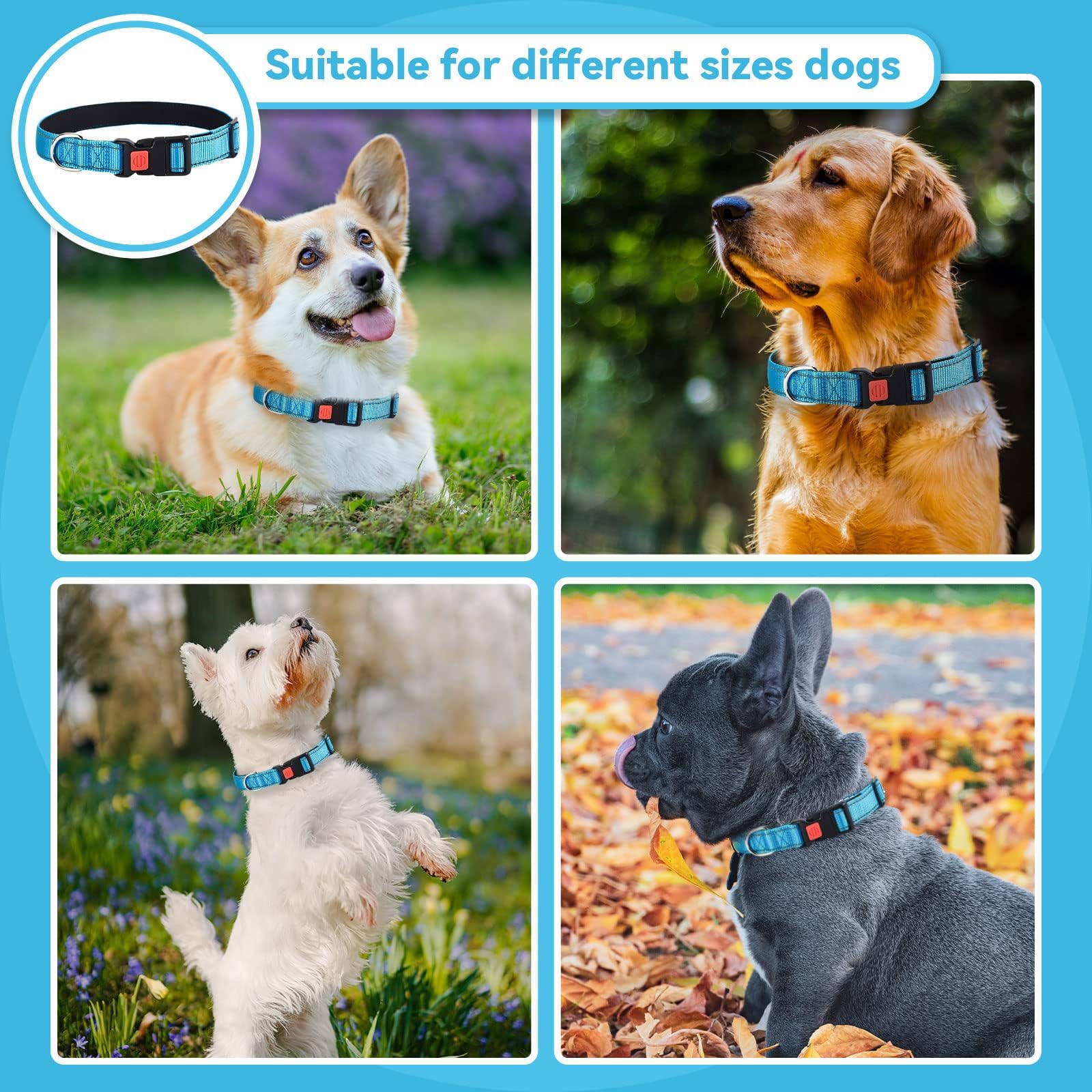 Reflective Adjustable Dog Collar with Quick Release Buckle - Ultra Soft Breathable Neoprene Pet Collar for Puppy, Small, Medium & Large Dogs - Perfect for Night Walks, Jogging & Outdoor Adventures
