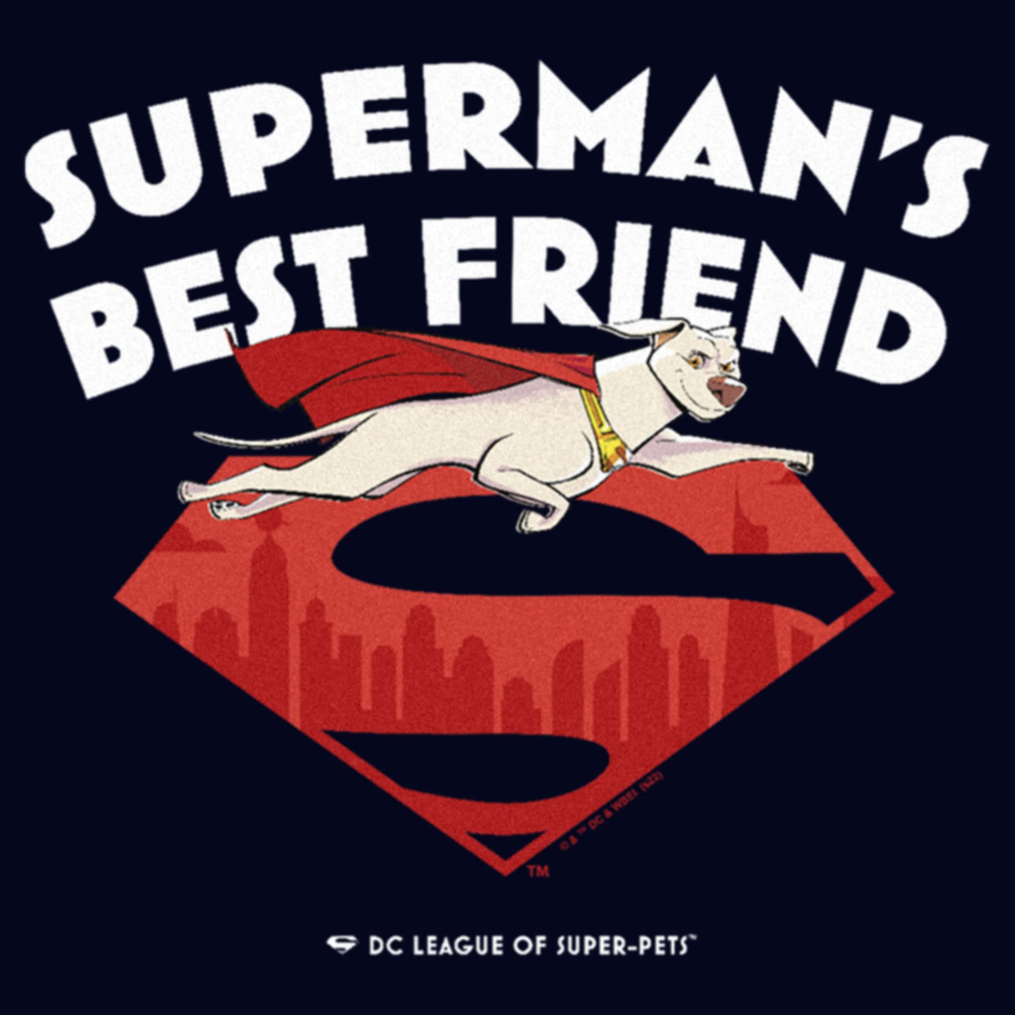 Women's DC League of Super-Pets Superman's Best Friend Flying Krypto Graphic T-Shirt for Casual Wear and Superhero Fans