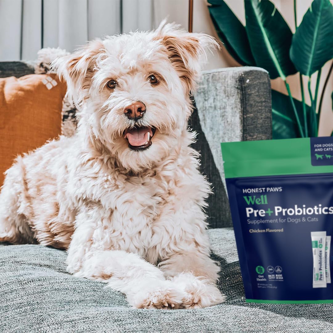 Honest Paws Probiotics for Dogs - Digestive & Immune Support Powder with Prebiotics | Made in USA | Chicken Flavor (30 Sticks) | Supports Gut Health & Immunity for Active Dogs