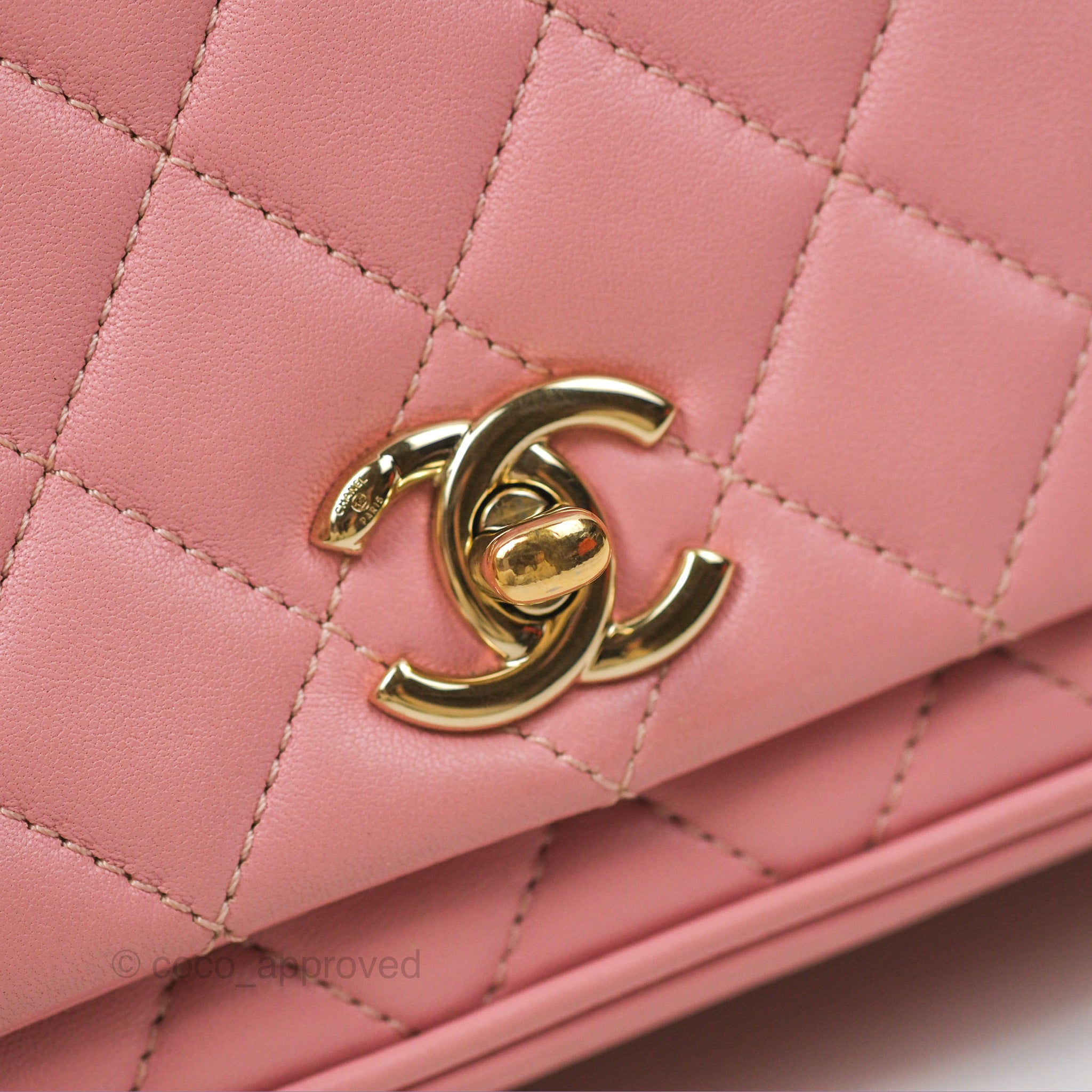 Chanel Citizen Chic Flap Bag in Pink Lambskin Leather with Gold Hardware - Perfect for Women's Luxury Everyday Use & Special Occasions