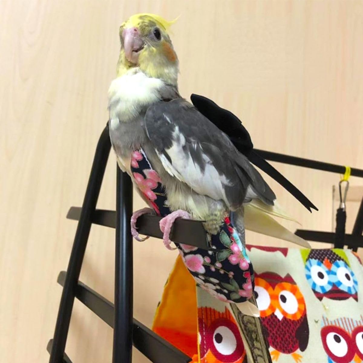 Bird Flight Suits with Diapers for Parrots - Quaker Parakeets & Cockatiels - Parrot Clothes in Almond A & Macaw Sizes | Perfect for Training, Travel & Indoor Play