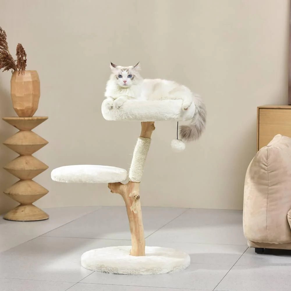 Premium Real Wood Cat Tree for Small Cats - Sturdy & Natural Climbing Perch for Kittens & Indoor Play - Perfect for Apartments & Small Spaces