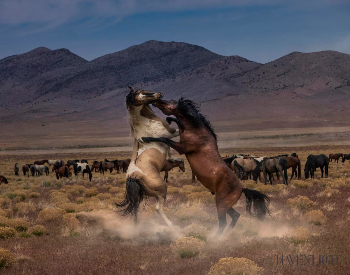 Desert Duel by Greg Sargent - Western Novel, Adventure & Action Book - Perfect for Fans of Cowboy Stories and Wild West Tales | Great for Reading on Road Trips, Camping & Relaxation