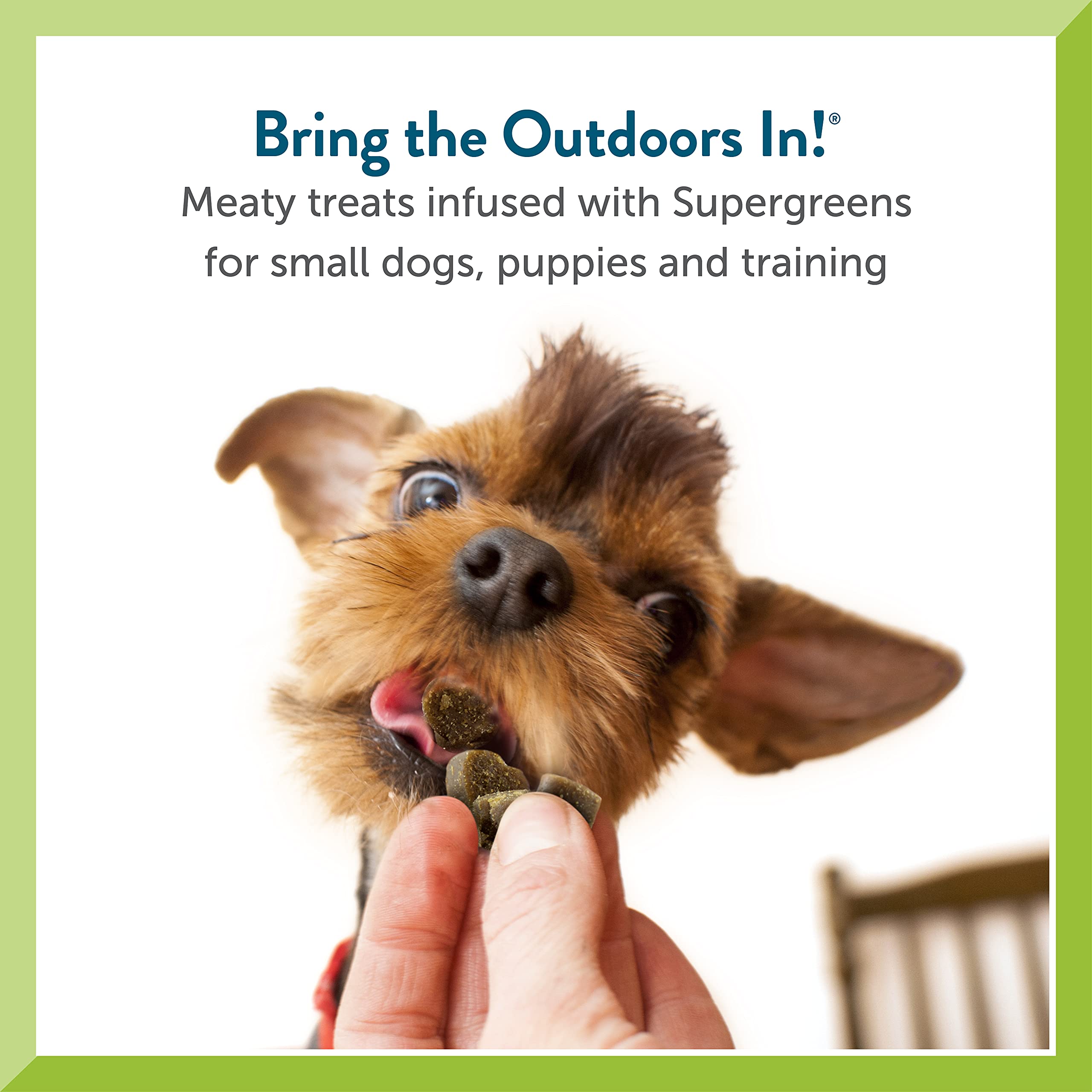 Pet Greens Tasty Lamb Semi-Moist Dog Treats - Natural & Healthy Training Snacks for Small & Large Dogs - Perfect for Reward, Training & Outdoor Adventures