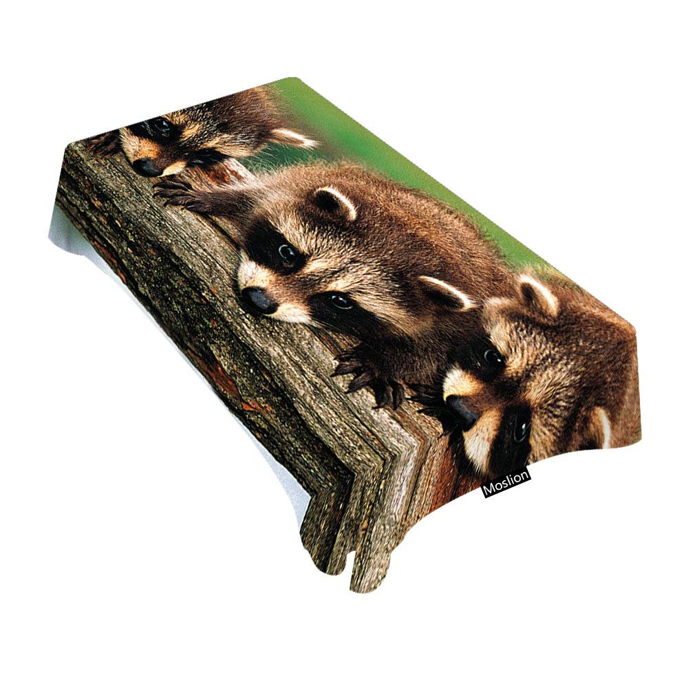 Moslion Decorative Rectangle Tablecloth - 60x104 Inches Cute Raccoons Print Table Cover for Dining, BBQ, Picnic & Coffee Tables | Waterproof & Wrinkle-Resistant for Indoor/Outdoor Use
