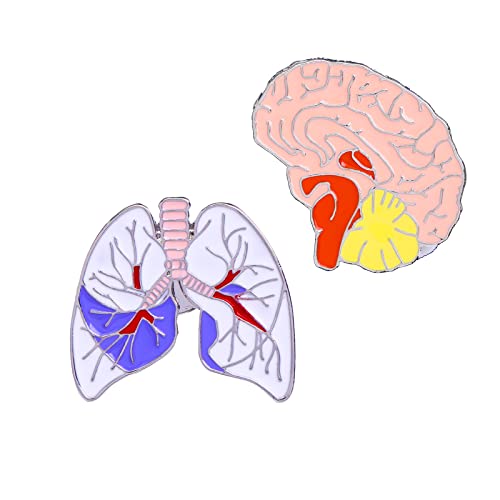 2 pieces lung pins