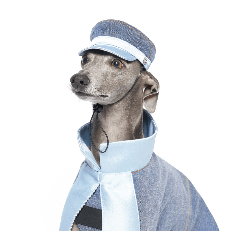 Redux Dog Hat - Stylish & Comfortable Pet Accessory for Small & Medium Dogs - Perfect for Outdoor Adventures, Walks & Photo Shoots