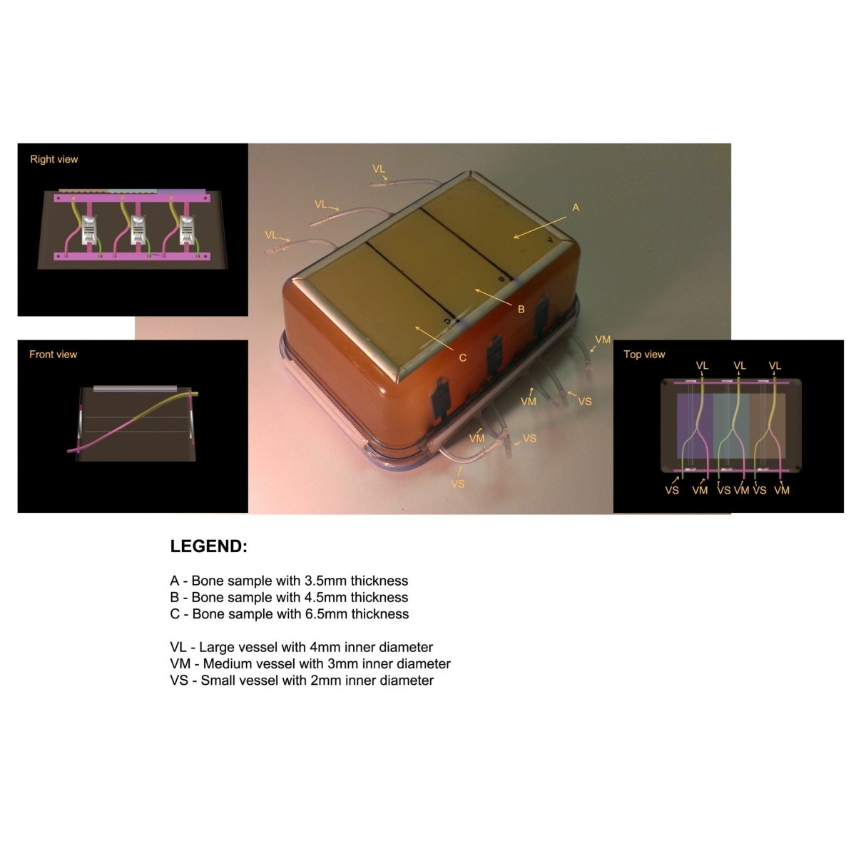 Doppler Phantom for X-Ray, CT, Ultrasound & MRI - High-Quality Imaging Test Tool for Medical Diagnostics & Equipment Calibration