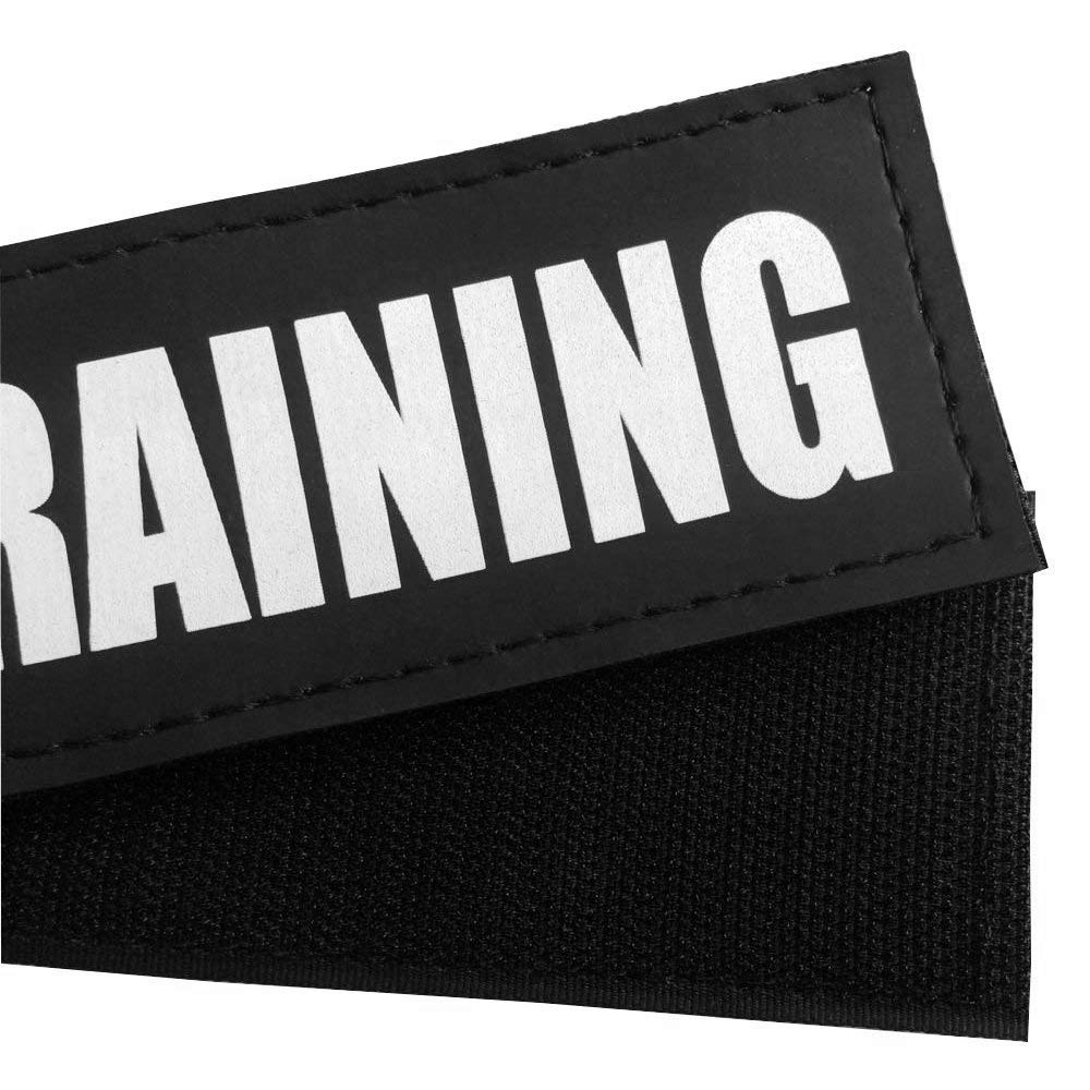 Fairwin Reflective Removable Dog Training Patches for Service Vest & Harness - Perfect for Police, Military, and Working Dogs
