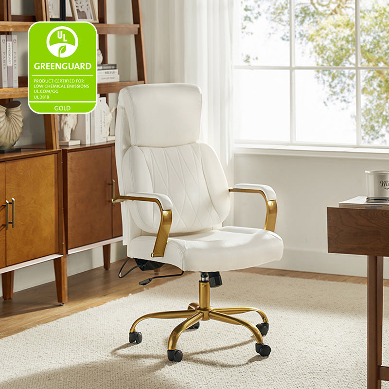 Ludwig Ergonomic Office Chair with Adjustable Lumbar Support - Comfortable Mesh Back Computer Desk Chair for Home & Office Workspaces