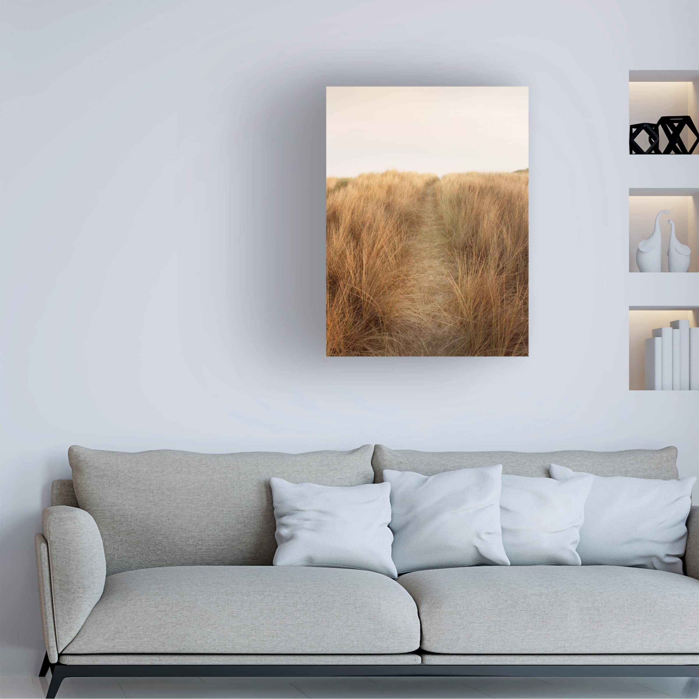 Trademark Fine Art 'Dunes with Seagulls 6' by Ian Winstanley - Stunning Coastal Landscape Canvas Wall Art for Living Room, Bedroom & Office Decor