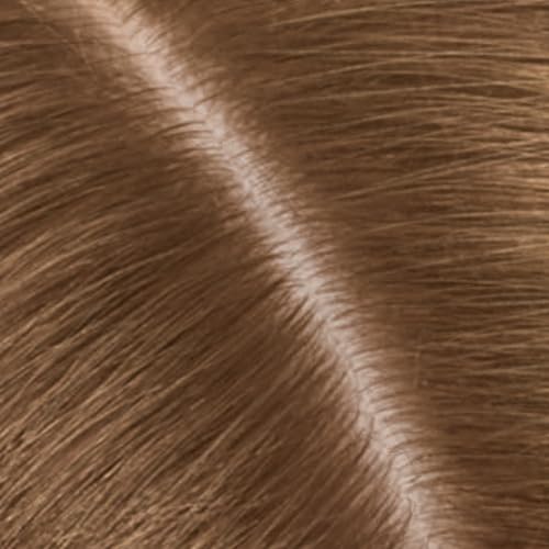 6 Light Brown