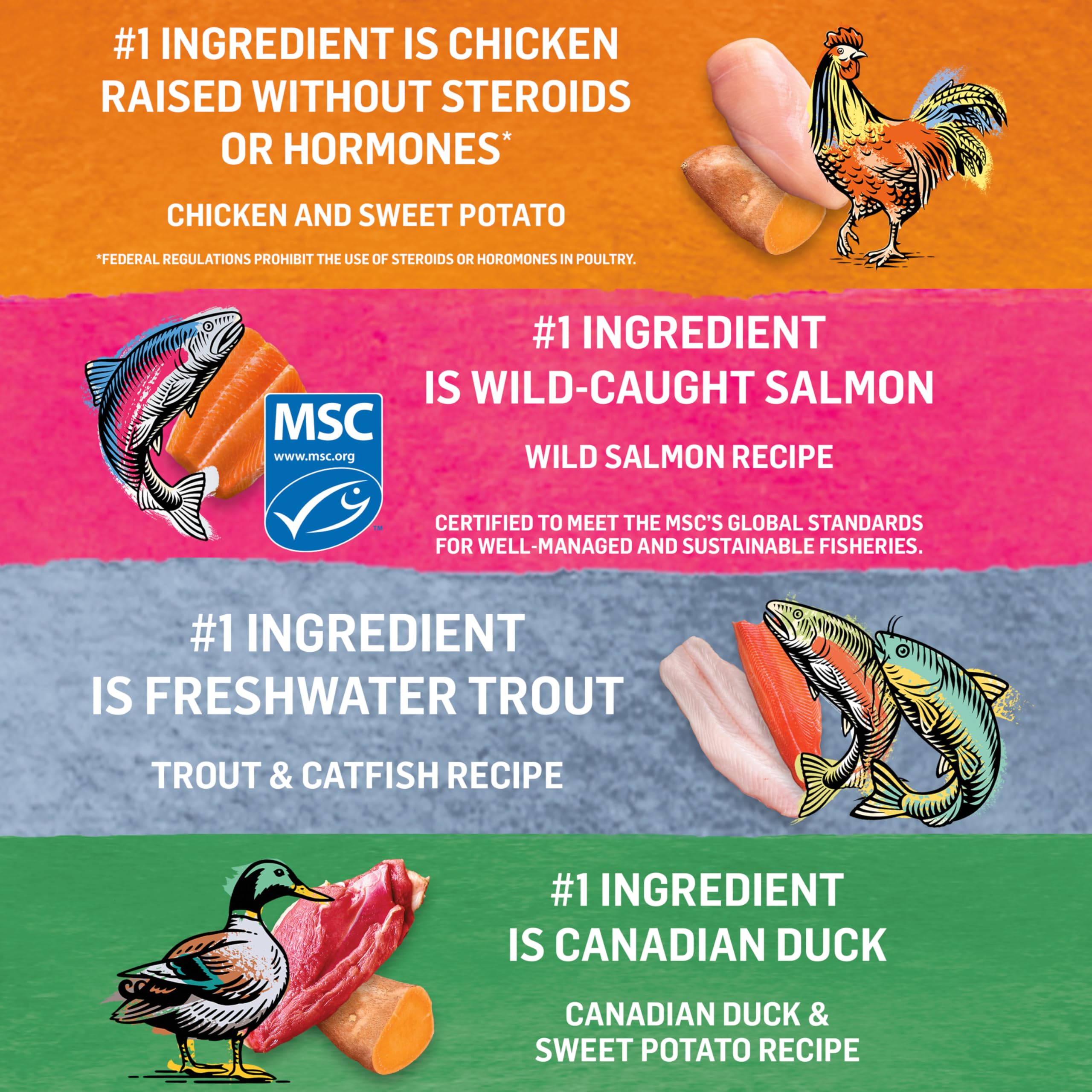 Beyond Grain Free Natural Wet Cat Food Pate Variety Pack - 4 Flavors (Tuna, Salmon, Chicken, Turkey) 85g Cans (24 Pack) | High Protein, Healthy Ingredients for Adult & Senior Cats | Perfect for Mealtime, Travel & Picky Eaters