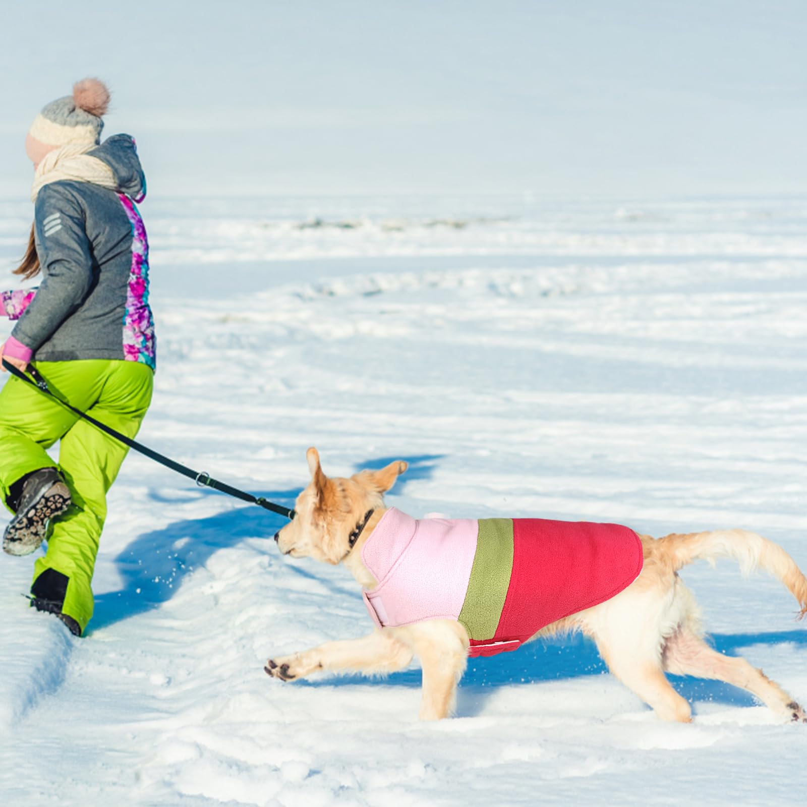 ASENKU Reversible Plaid Dog Winter Coat - Waterproof Dog Jacket Vest for Small, Medium & Large Dogs - Cold Weather Pet Apparel for Outdoor Walks & Winter Adventures