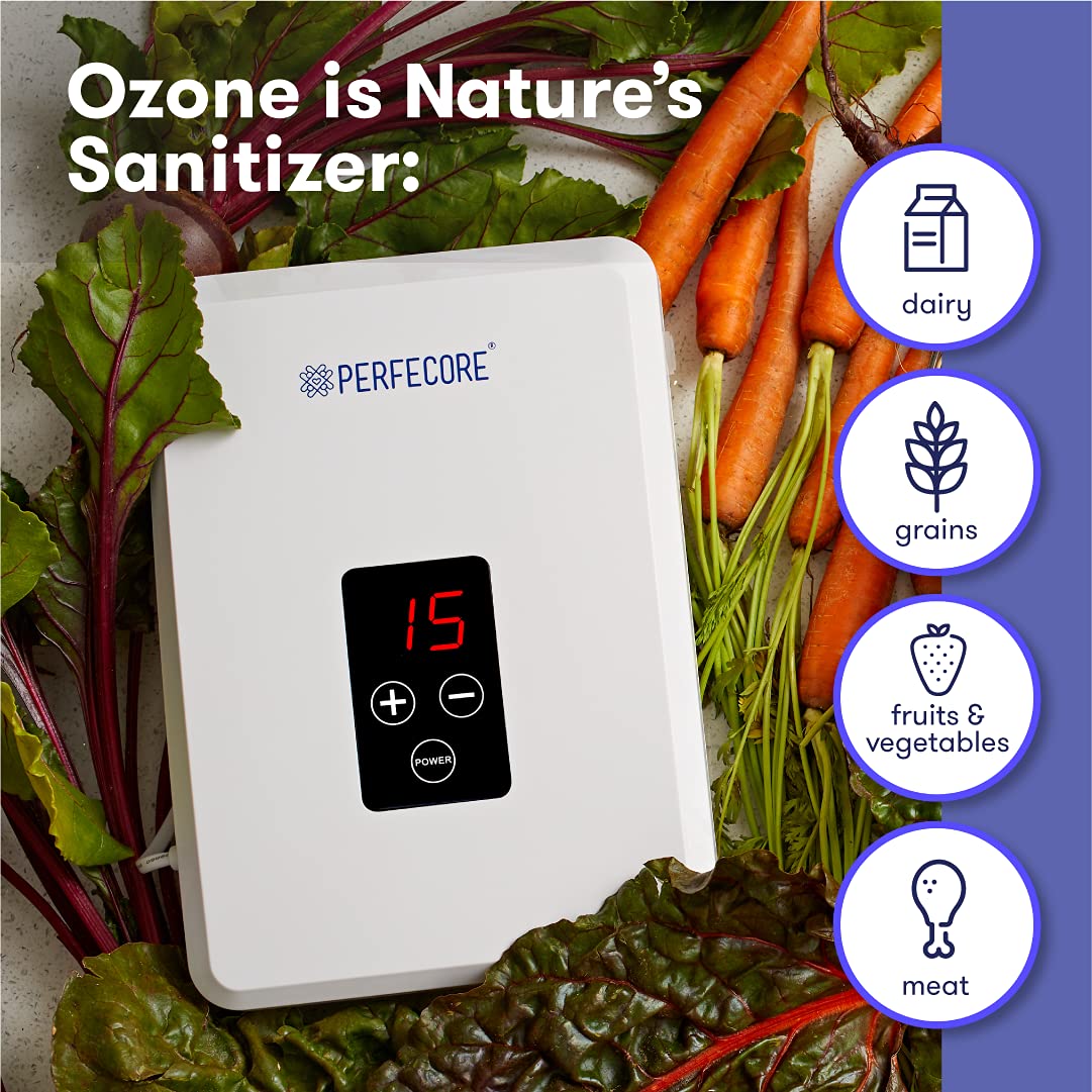 600mg/Hour Water Ozonator Machine with Diffuser Stones & Timer - Odor Eliminator for Home, Kitchen, Fruits & Vegetables - Fresh Water Purifier for Drinking, Cleaning, and Food Sanitizing