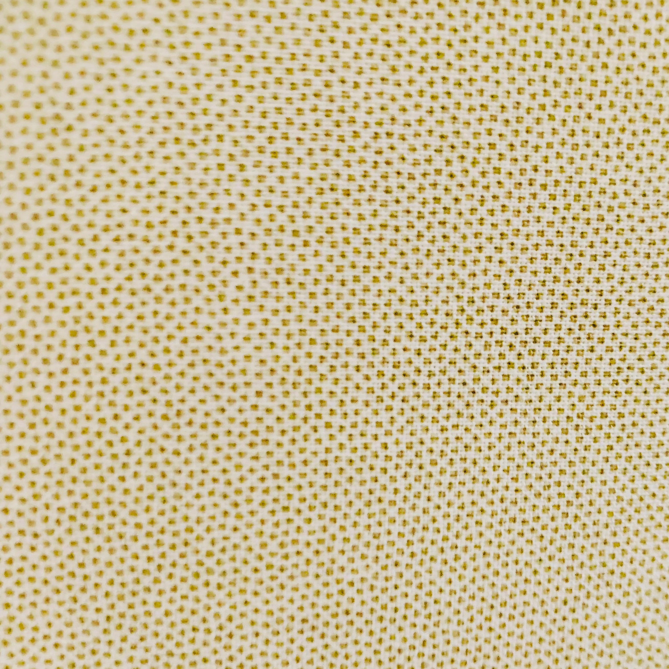 Dutch Heritage Pindot 1503 Green Tea - Premium Loose Leaf Tea for Relaxation & Wellness, Perfect for Afternoon Tea or Meditation Moments