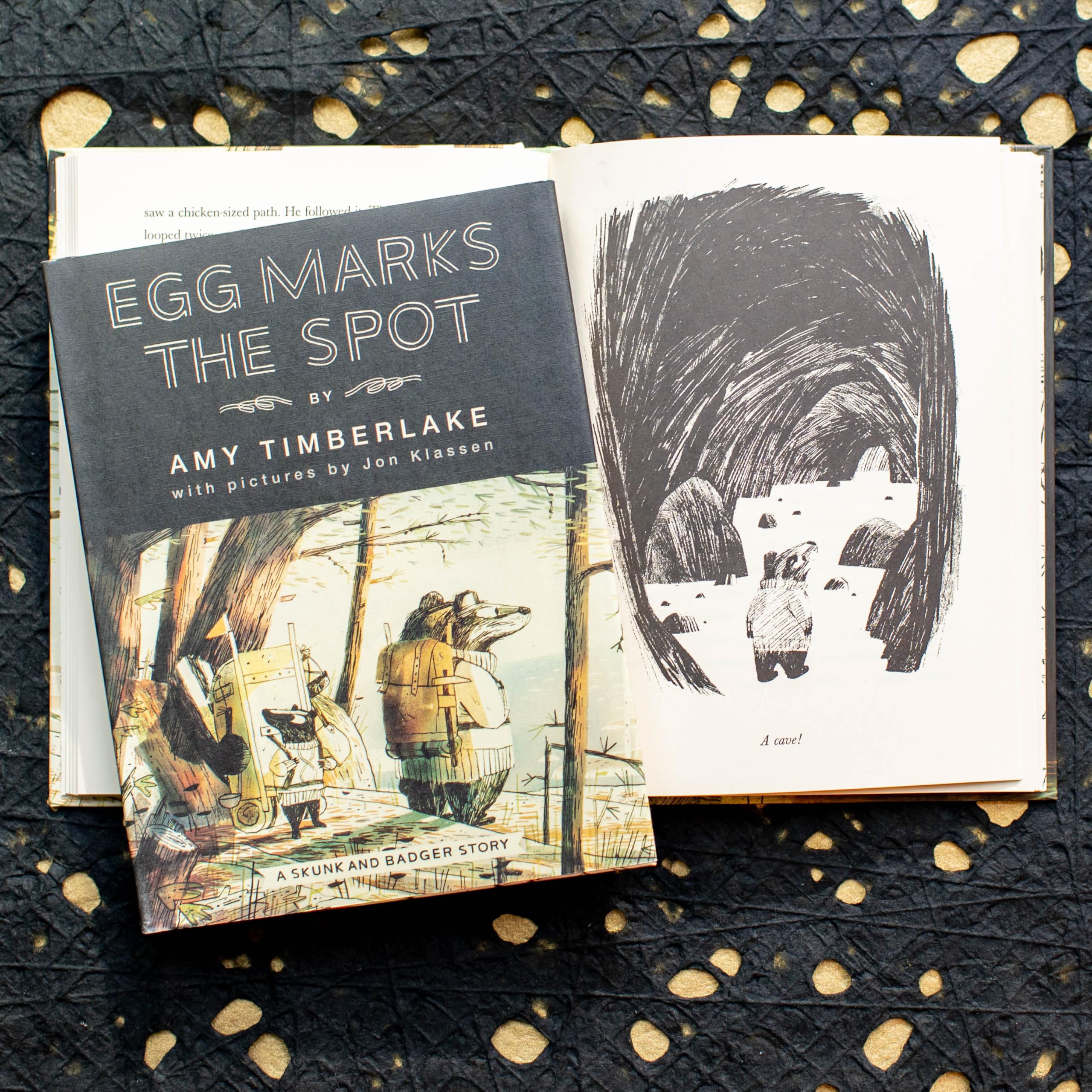 Egg Marks the Spot: A Skunk and Badger Story (Skunk and Badger Book 2) - Children's Adventure Chapter Book for Bedtime Reading & Classroom Storytime