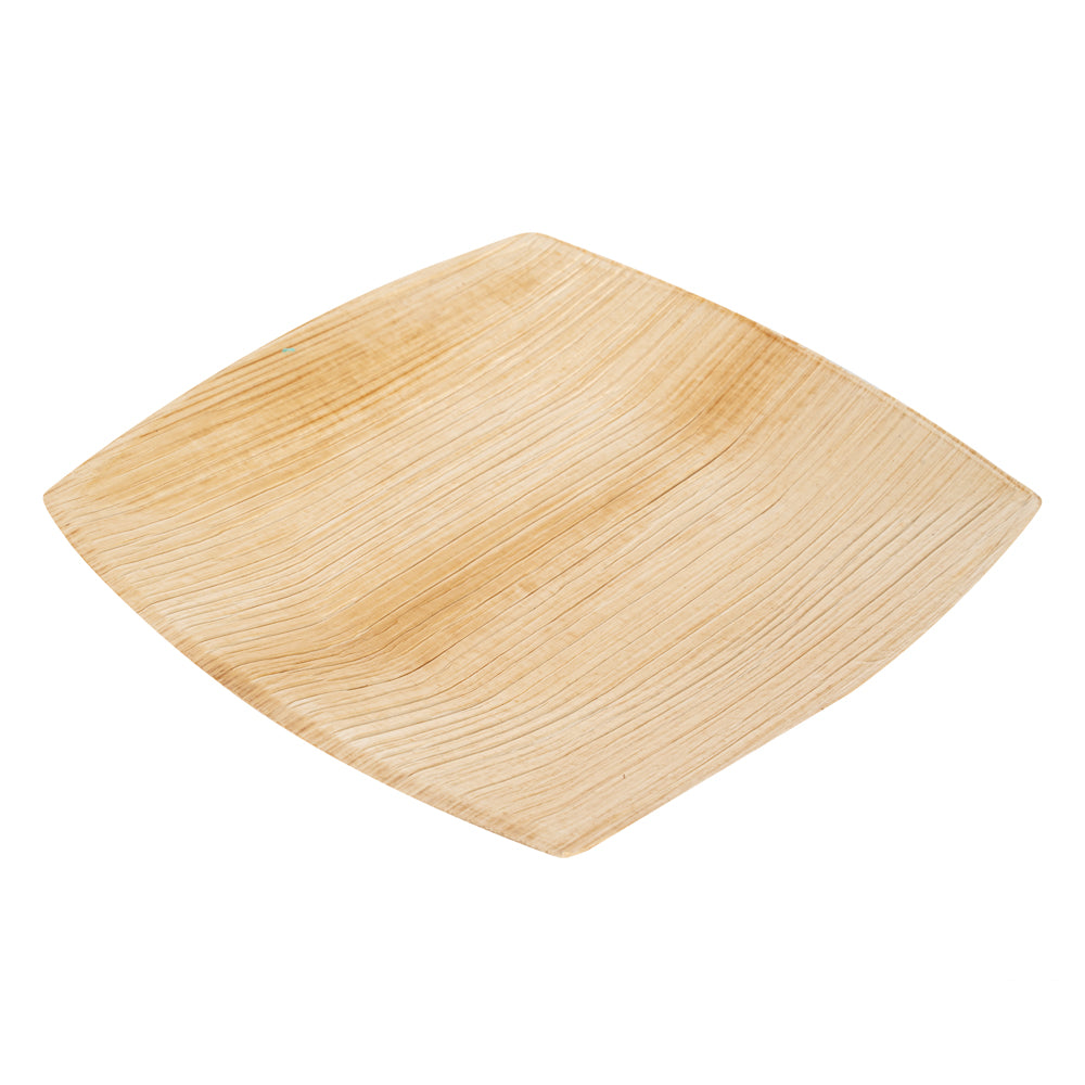 100-Pack Midori Square 6