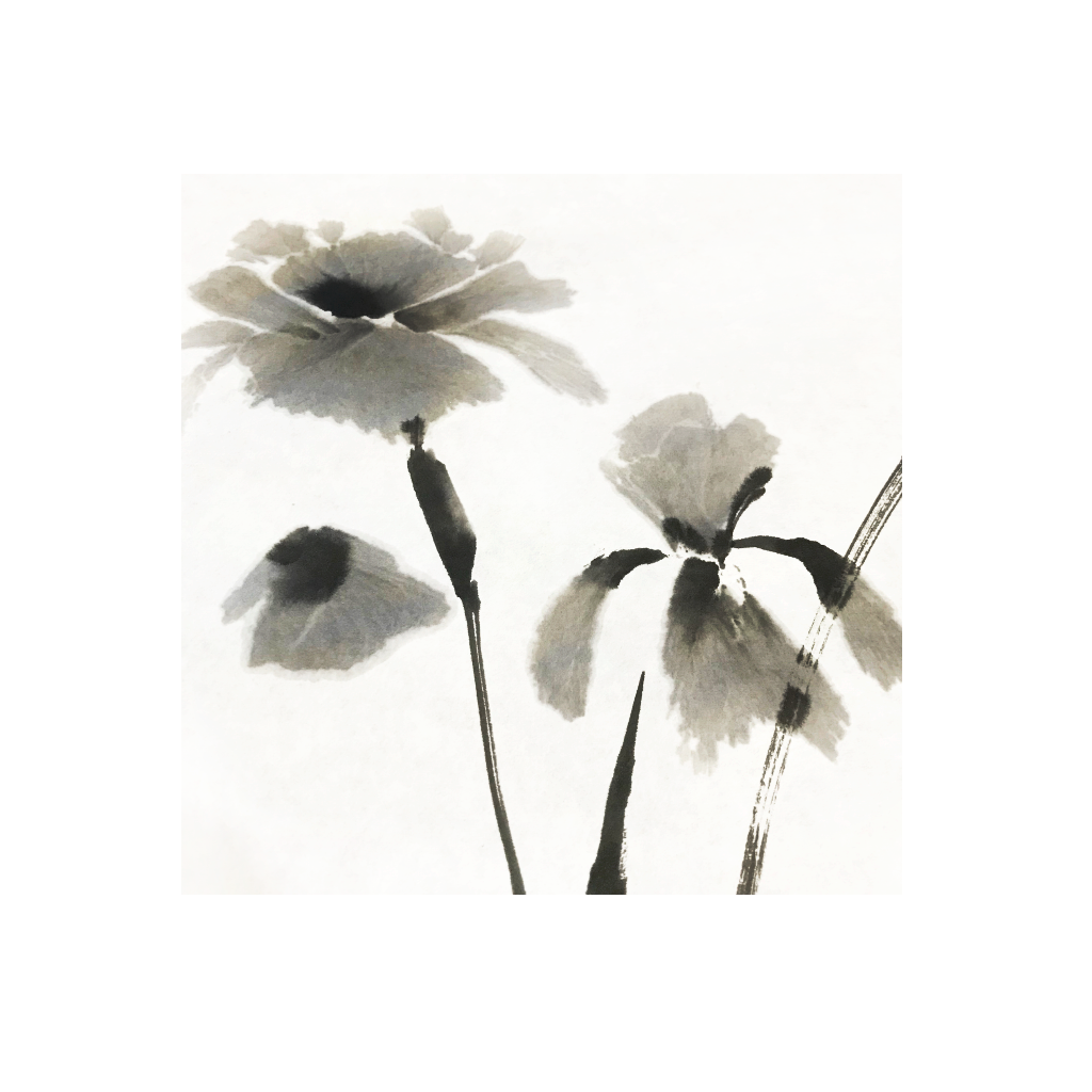 Premium 2 Oz Black Liquid Sumi Ink for Calligraphy & Art - Traditional Japanese Ink for Brush Painting, Drawing, and Writing - Ideal for Artists, Students, and Professionals