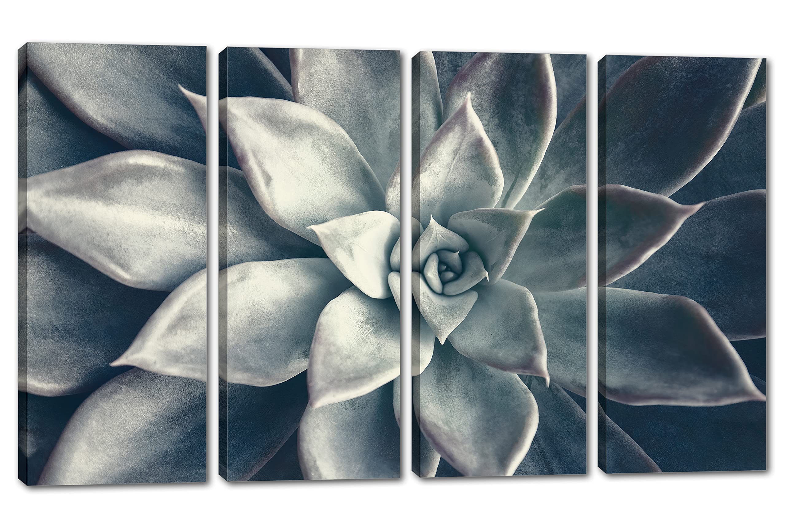 64 x 40 Inch Echeveria Succulent Canvas Wall Art - 4 Panel Split Botanical Plant Painting in Dark Teal | Perfect for Living Room, Bedroom & Office Decor