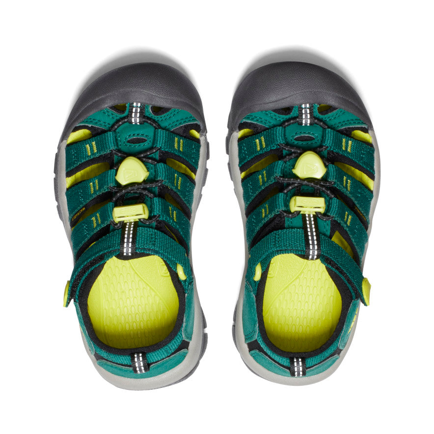 Little Kids' Newport H2 Sandals | Aventurine Green/Evening Primrose | Comfortable Water Shoes for Beach, Pool & Outdoor Play