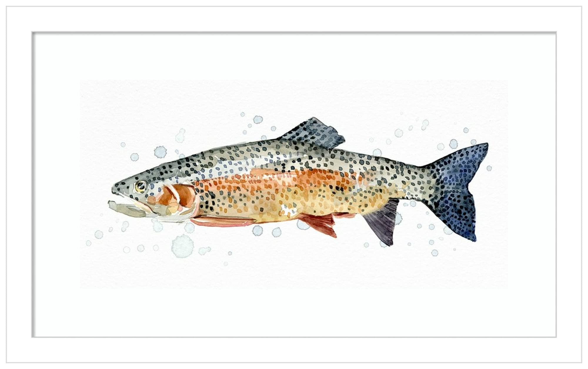 Emma Caroline Watercolor Rainbow Trout II Wall Art Print - 17x11 Inch Wood Framed Painting with Svelte White Border - Nature Inspired Home Decor for Living Room, Bedroom & Office