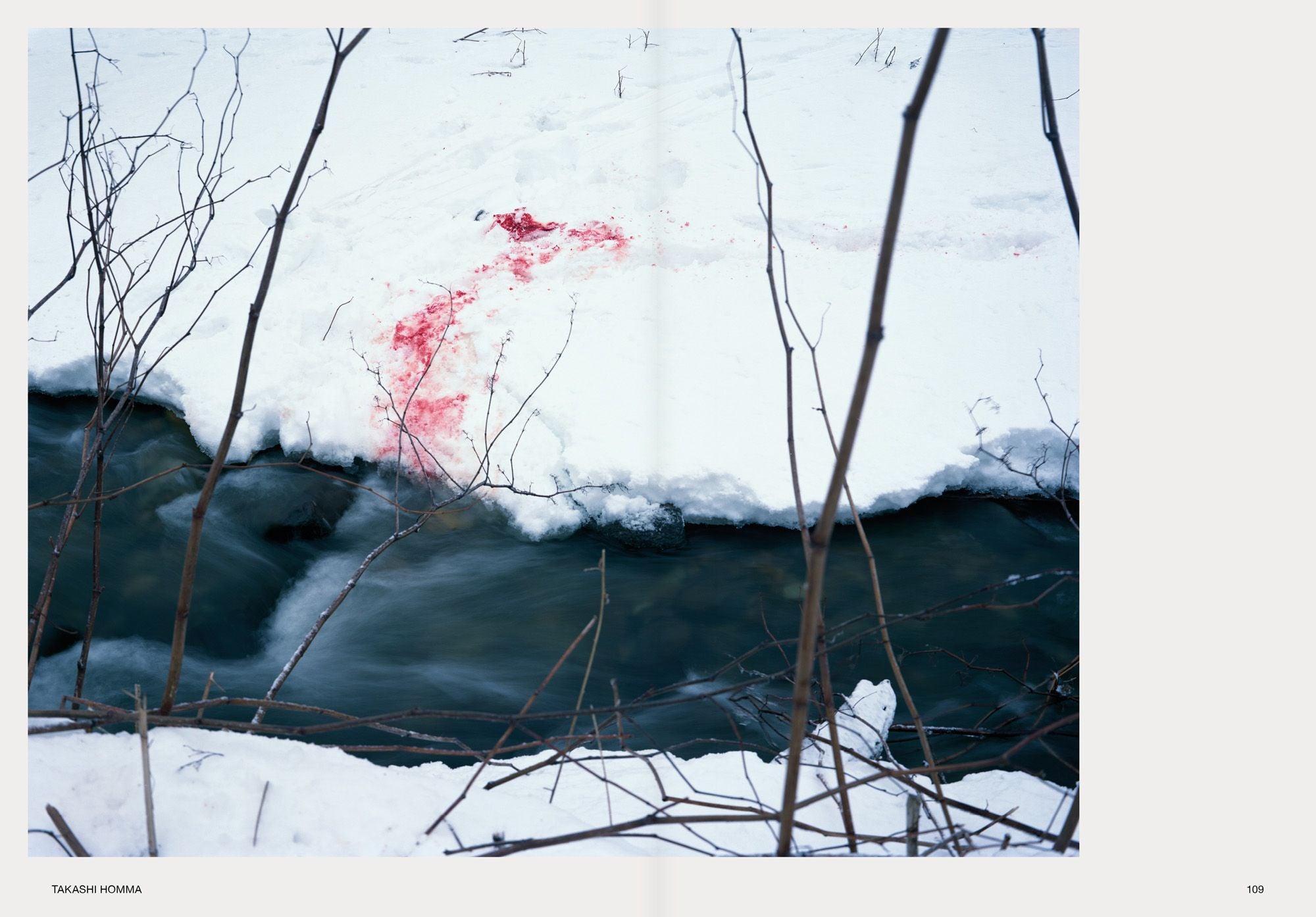 Hotshoe Issue 209: An Emotional Landscape - Photography Magazine for Creative Professionals - Perfect for Studio Work, Travel Photography & Artistic Inspiration