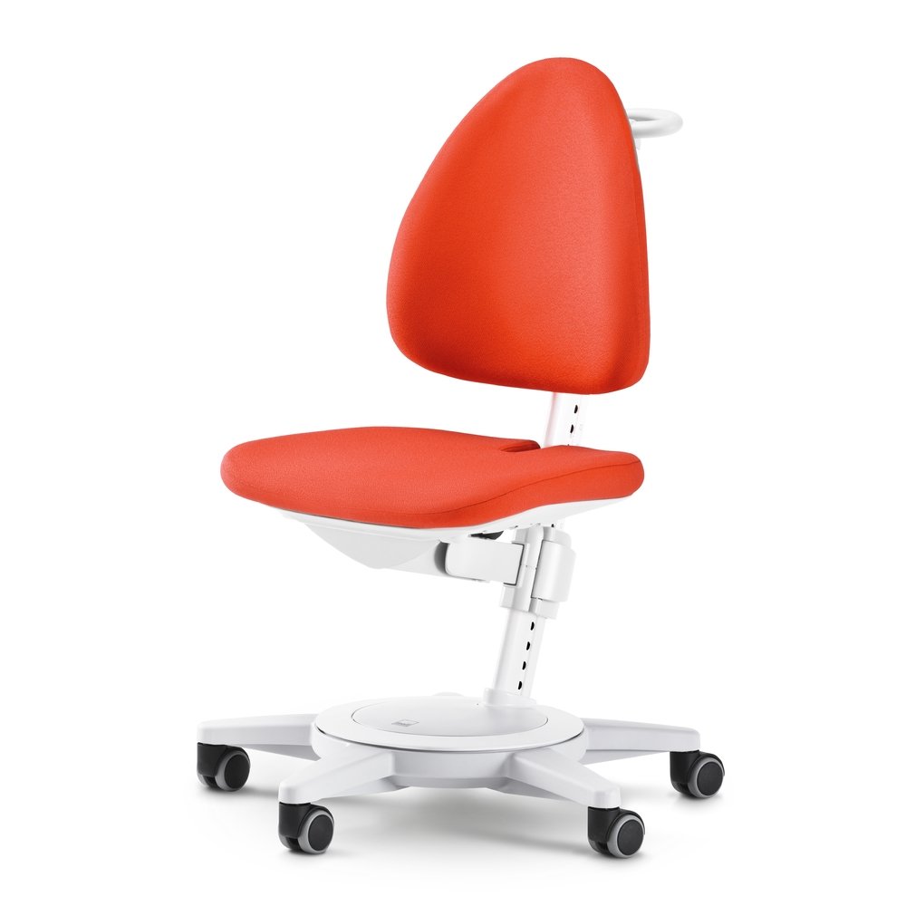 Moll Maximo White Classic - Premium Quality & Stylish Design for Home, Office, and Modern Living Spaces