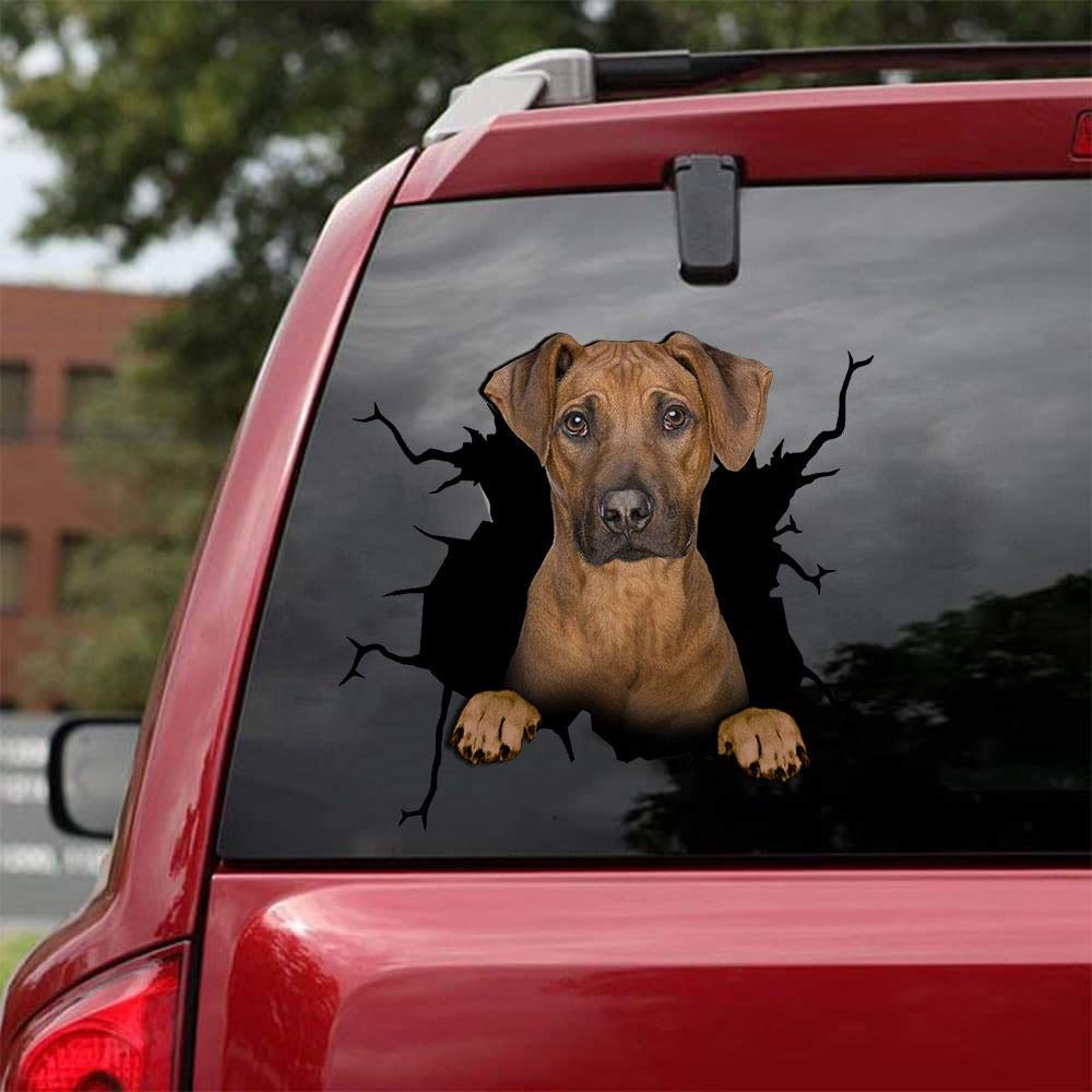 Realistic Rhodesian Ridgeback Car Decals - Pack of 2 High-Quality Dog Stickers for Windows & Walls (10