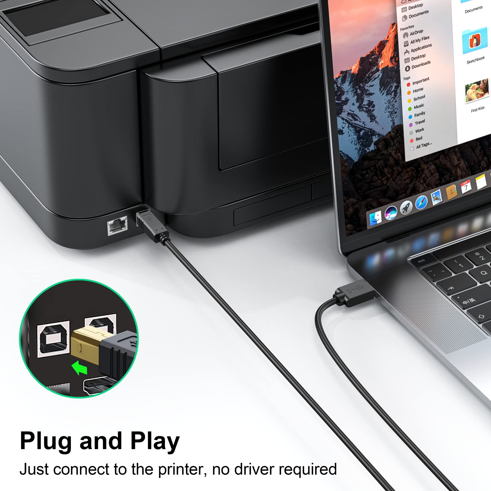 6 FT USB A to USB B Printer Cable - High Speed Compatible with HP, Canon, Brother, Samsung, Dell Printers | Durable Cord for Office, Home & Studio Printing Needs