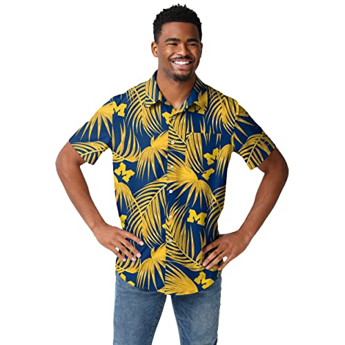 Michigan Wolverines