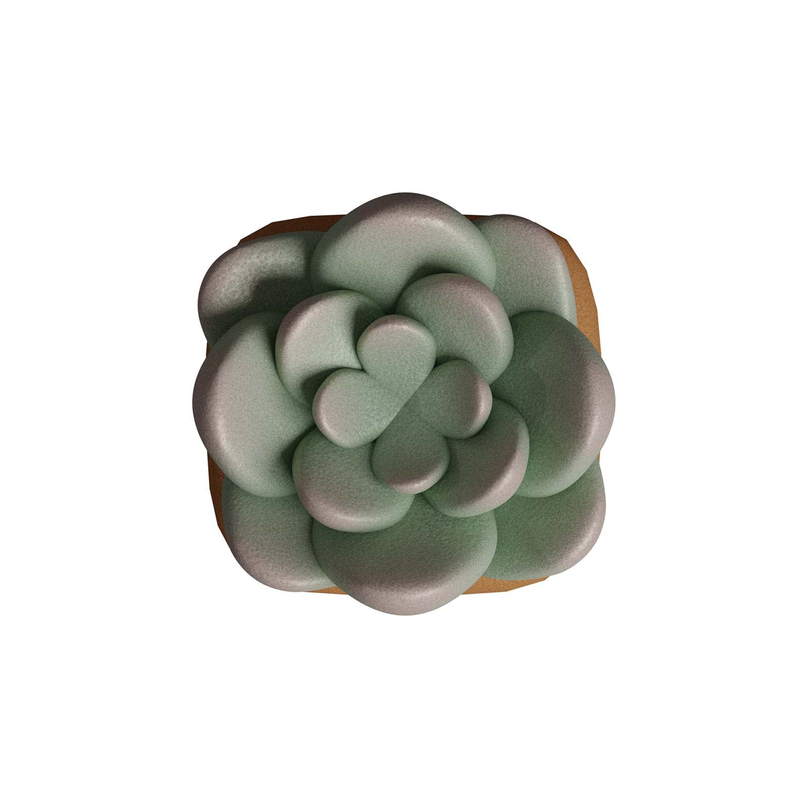 HX3D Custom Keycap - Sally the Succulent Design for Mechanical Keyboards | Perfect for Gaming & Typing Enthusiasts