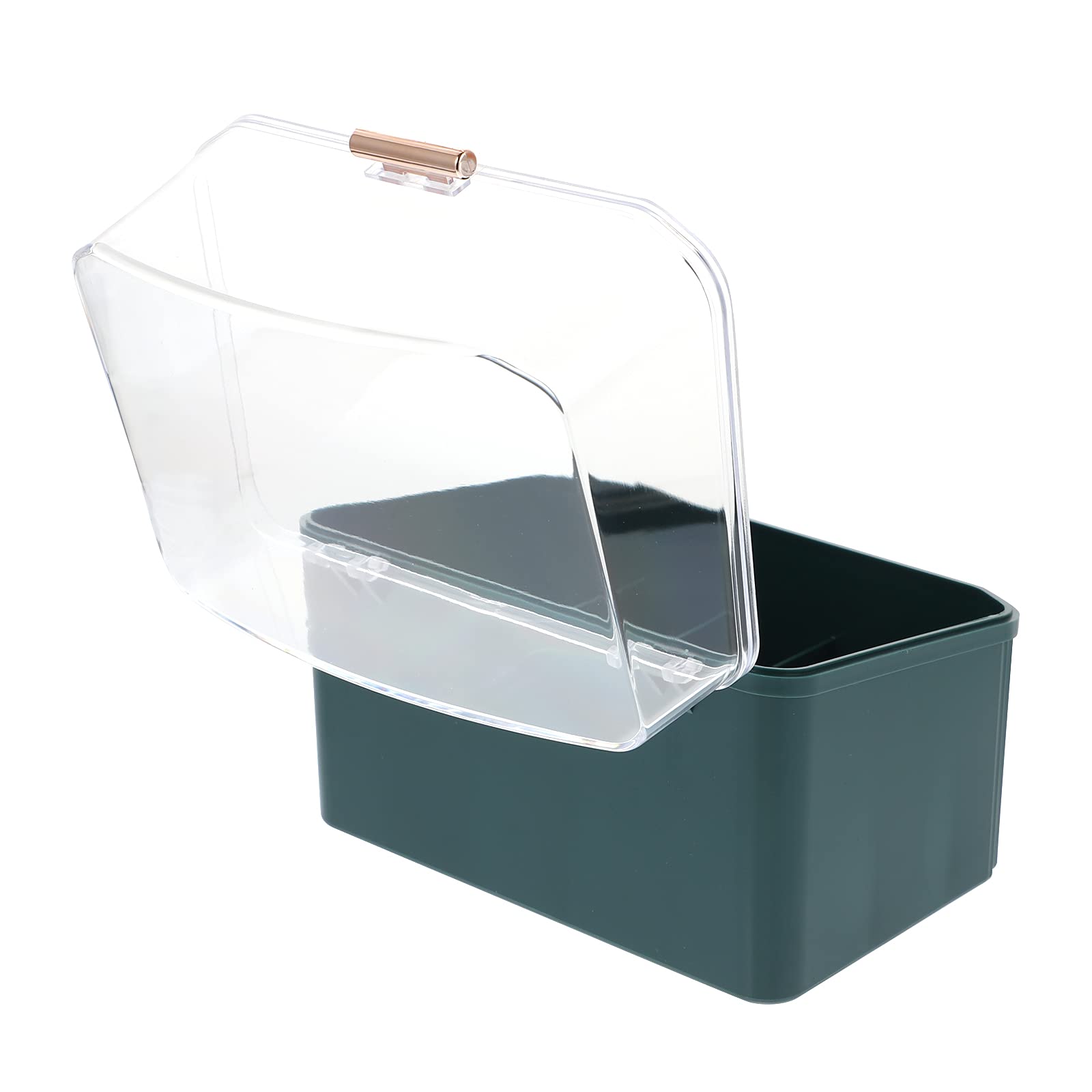 Cosmetic Storage Box with Jewelry Trays & Brush Holder - Organize Makeup for Vanity