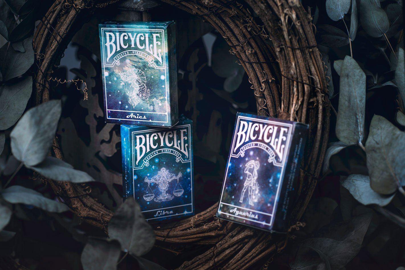Bicycle Constellation Aquarius - Premium Zodiac-Themed Bicycle for Adults & Teens | Perfect for Outdoor Cycling, Commuting & Fitness Rides