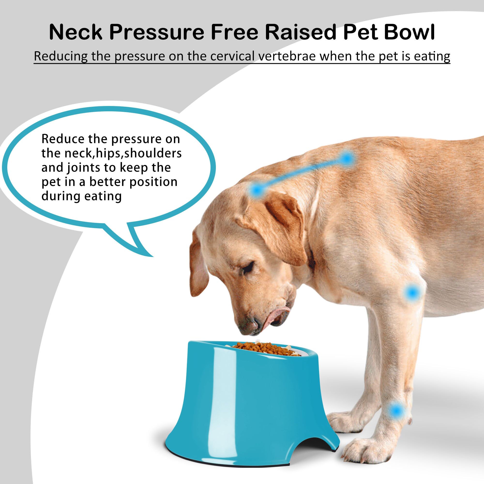 Stainless Steel Elevated Dog Bowls - Non-Slip, High Capacity (2 Cup) Pet Food Bowls for Medium Dogs | Prevents Vertebrae Disease | Perfect for Indoor/Outdoor Feeding - Grass Blue Design
