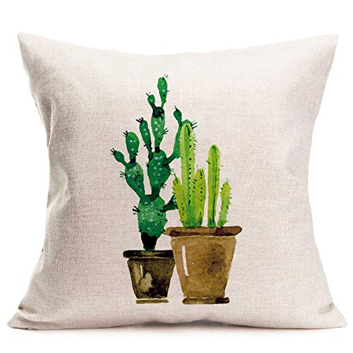 Cactus 02